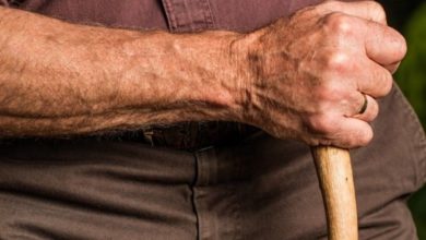 Term Life vs. Whole Life Insurance