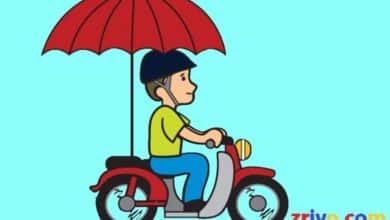 Third-Party Insurance for Bike