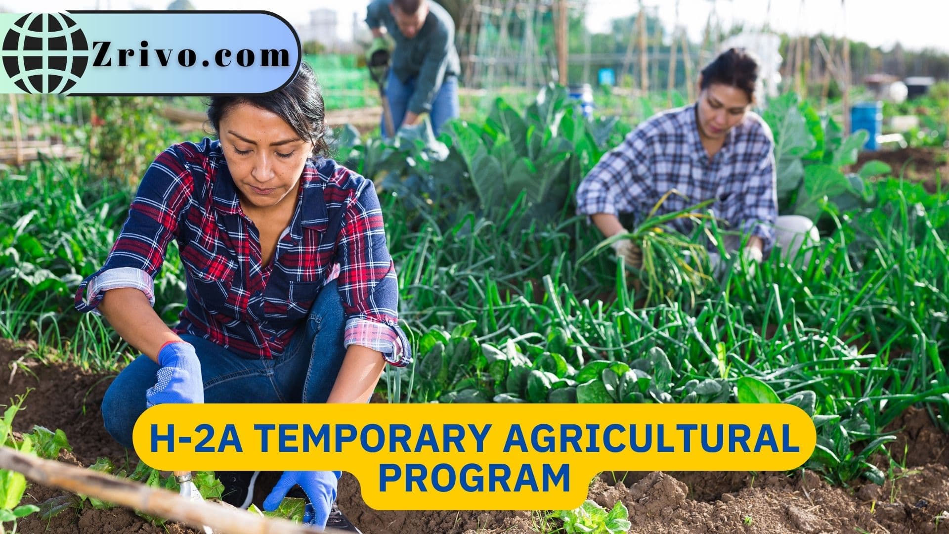 H-2A Temporary Agricultural Program H-2A Temporary Agricultural Program