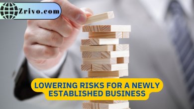 Lowering Risks for a Newly Established Business