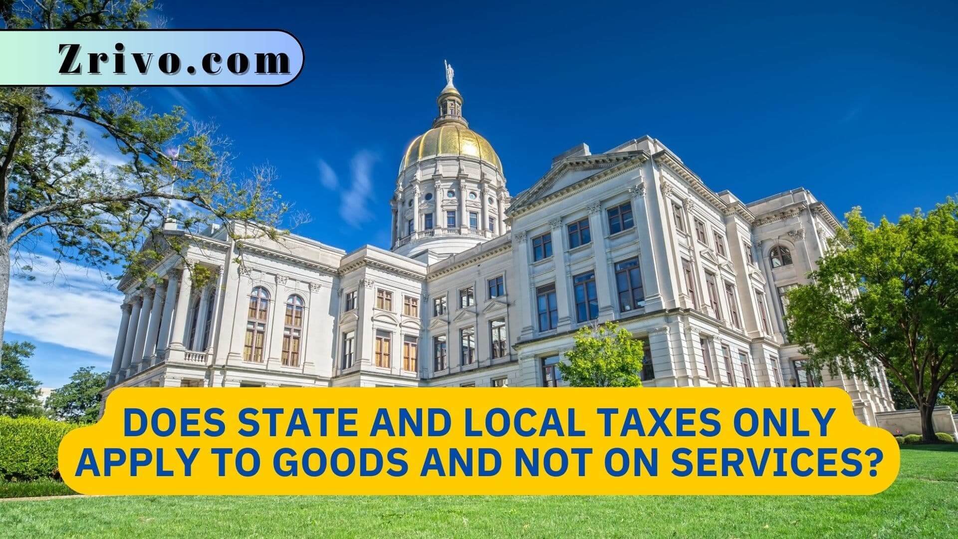 Does State and Local Taxes Only Apply to Goods and not on Services?