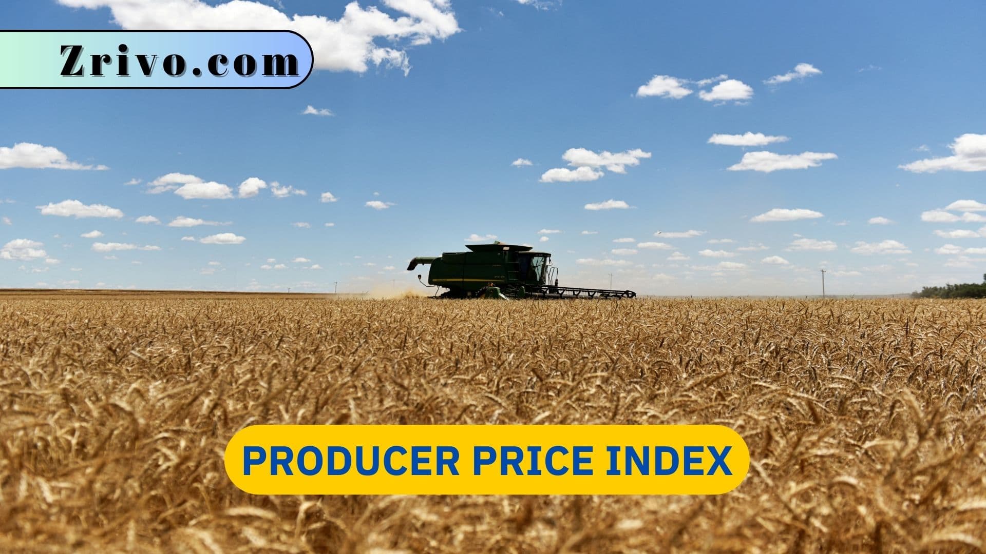 Producer Price Index Producer Price Index
