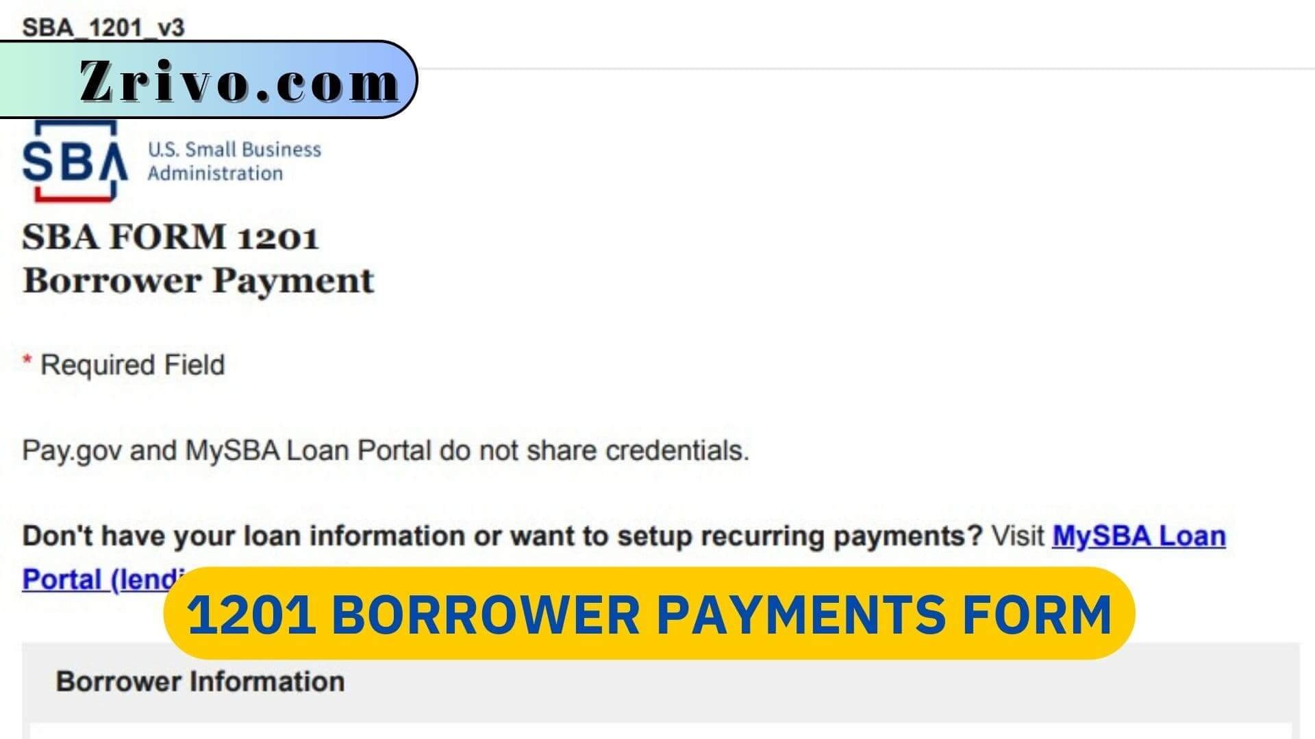 1201 Borrower Payments Form 1201 Borrower Payments Form