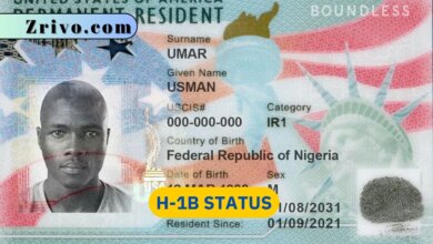 H-1B Status 6 H-1B Status