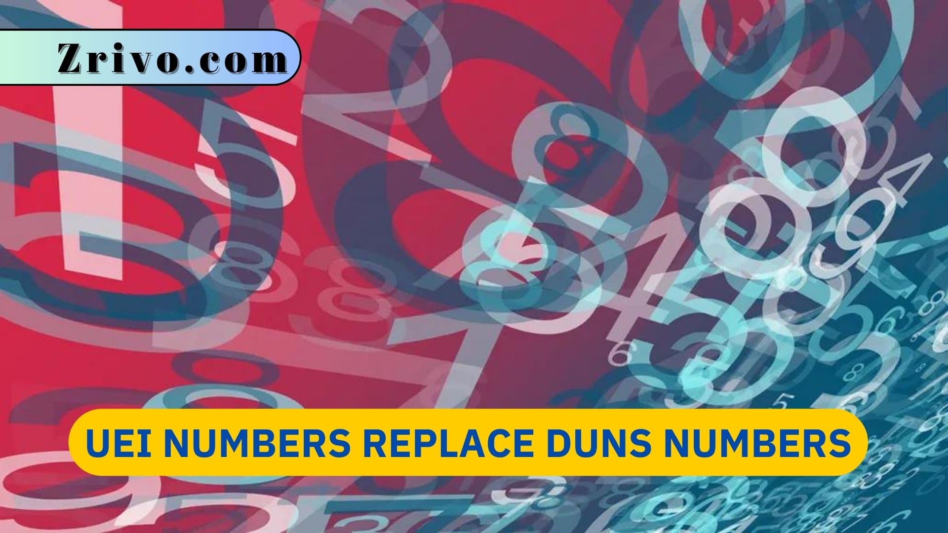 UEI Numbers Replace DUNS Numbers UEI Numbers Replace DUNS Numbers