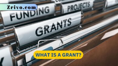 What is a Grant