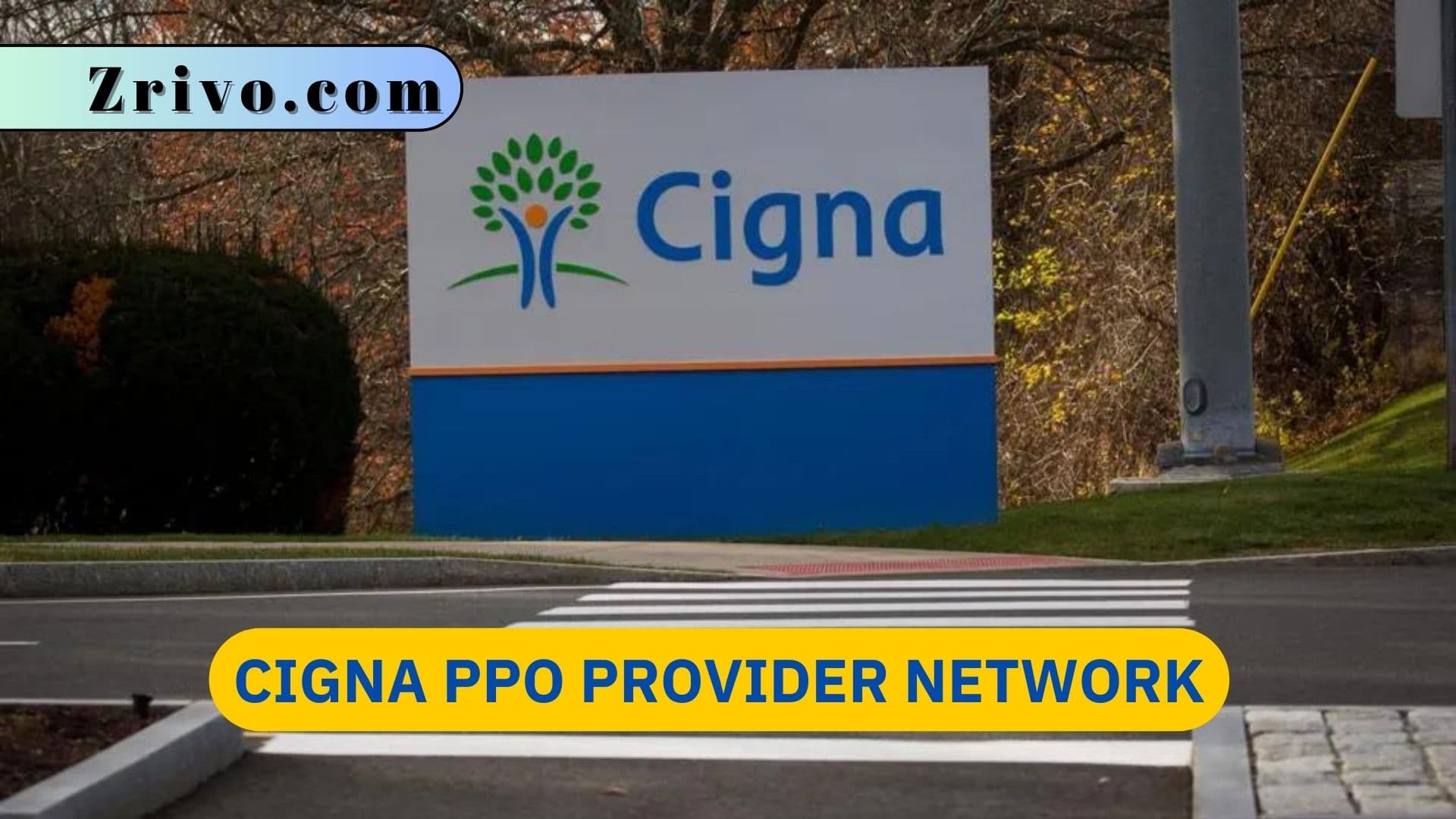 Cigna PPO Provider Network Cigna PPO Provider Network