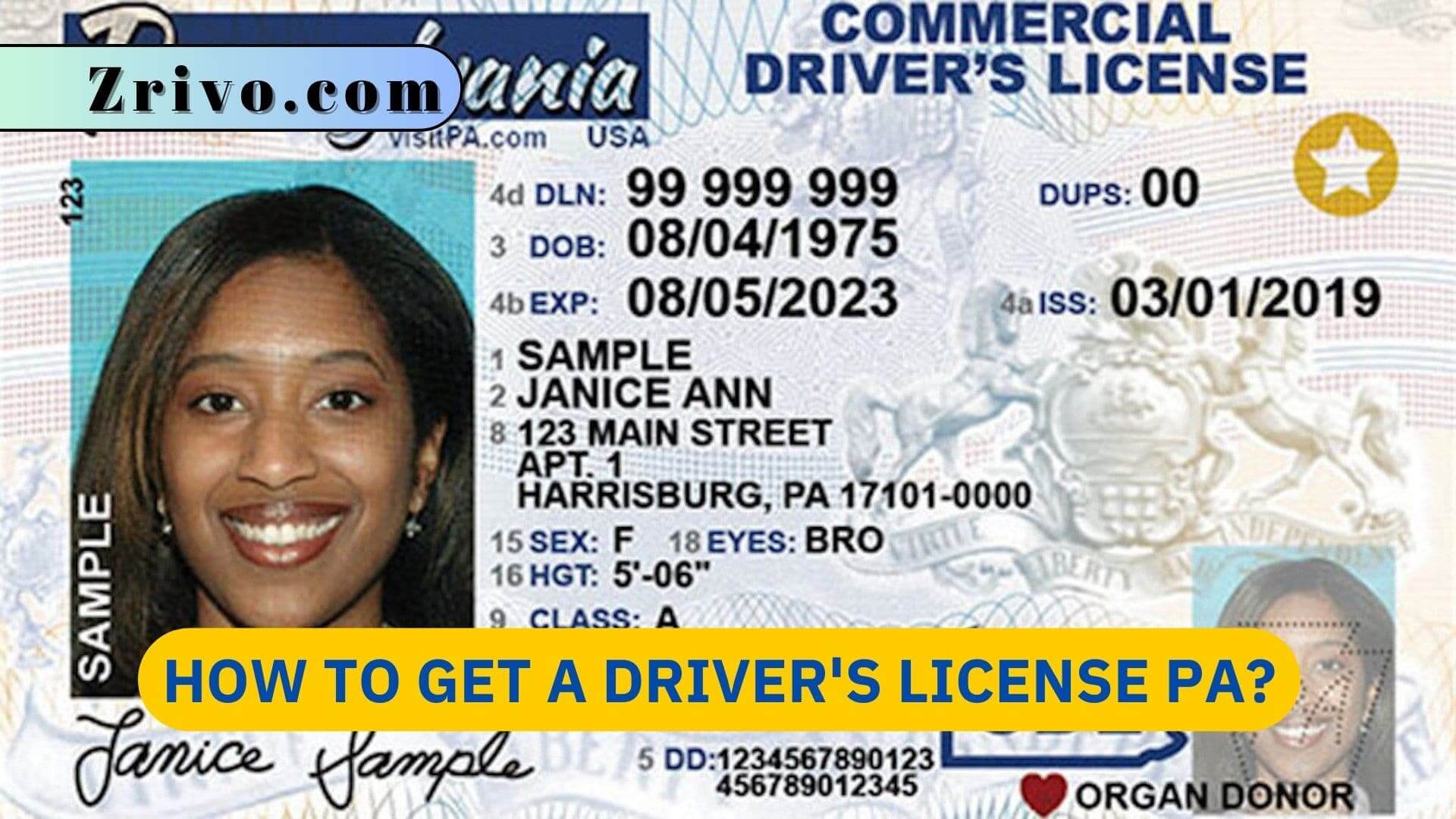 How to Get a Driver's License PA? How to Get a Driver's License PA?