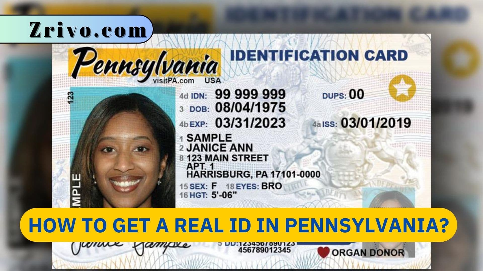 How to Get a Real ID in Pennsylvania? How to Get a Real ID in Pennsylvania