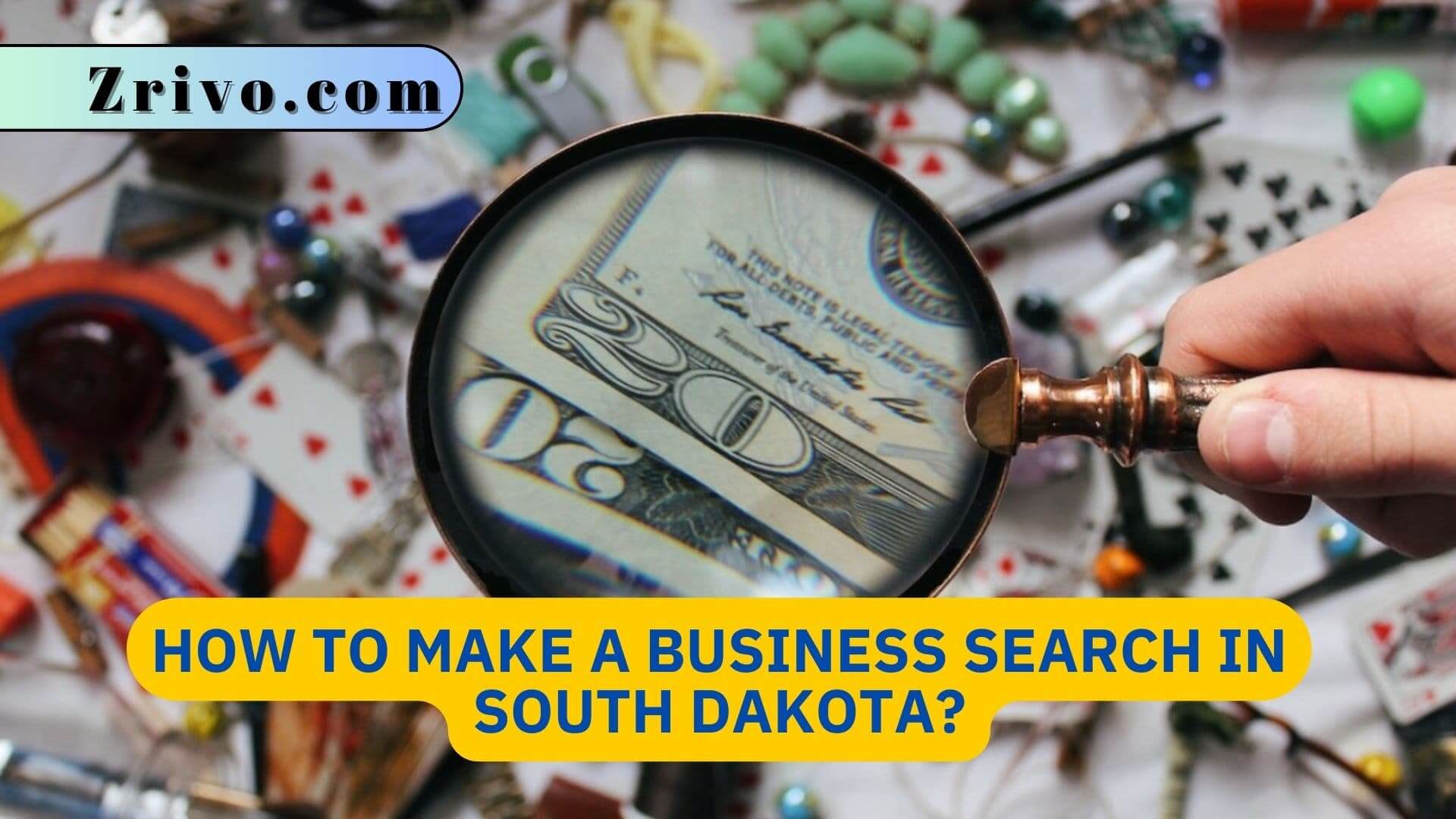 How to Make a Business Search in South Dakota? How to Make a Business Search in South Dakota?