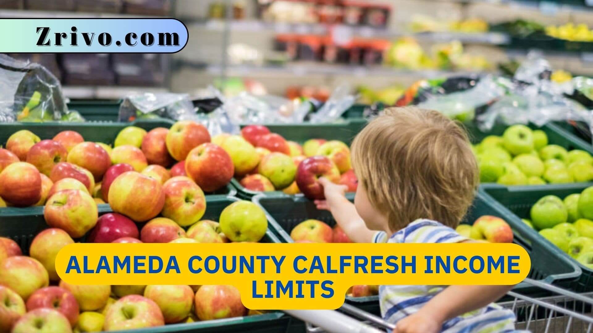 Alameda County CalFresh Income Limits Alameda County CalFresh Income Limits