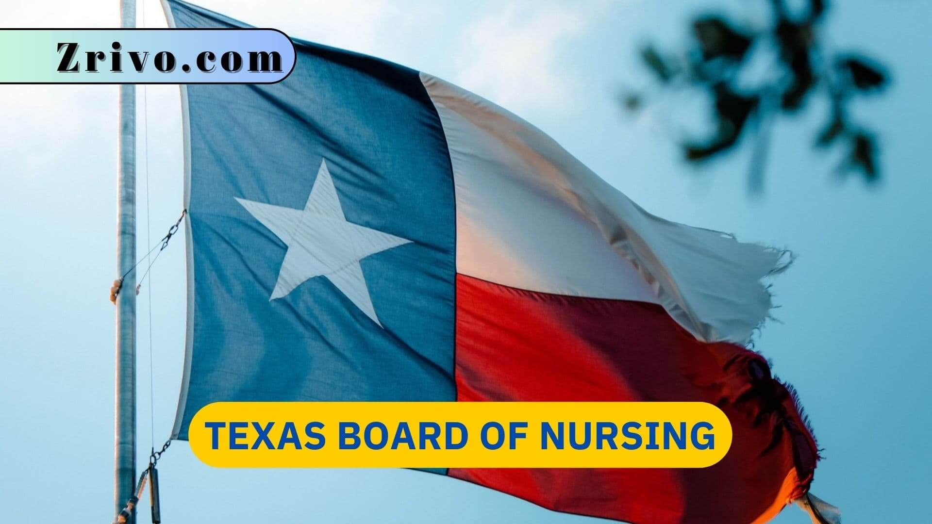Texas Board of Nursing Texas Board of Nursing