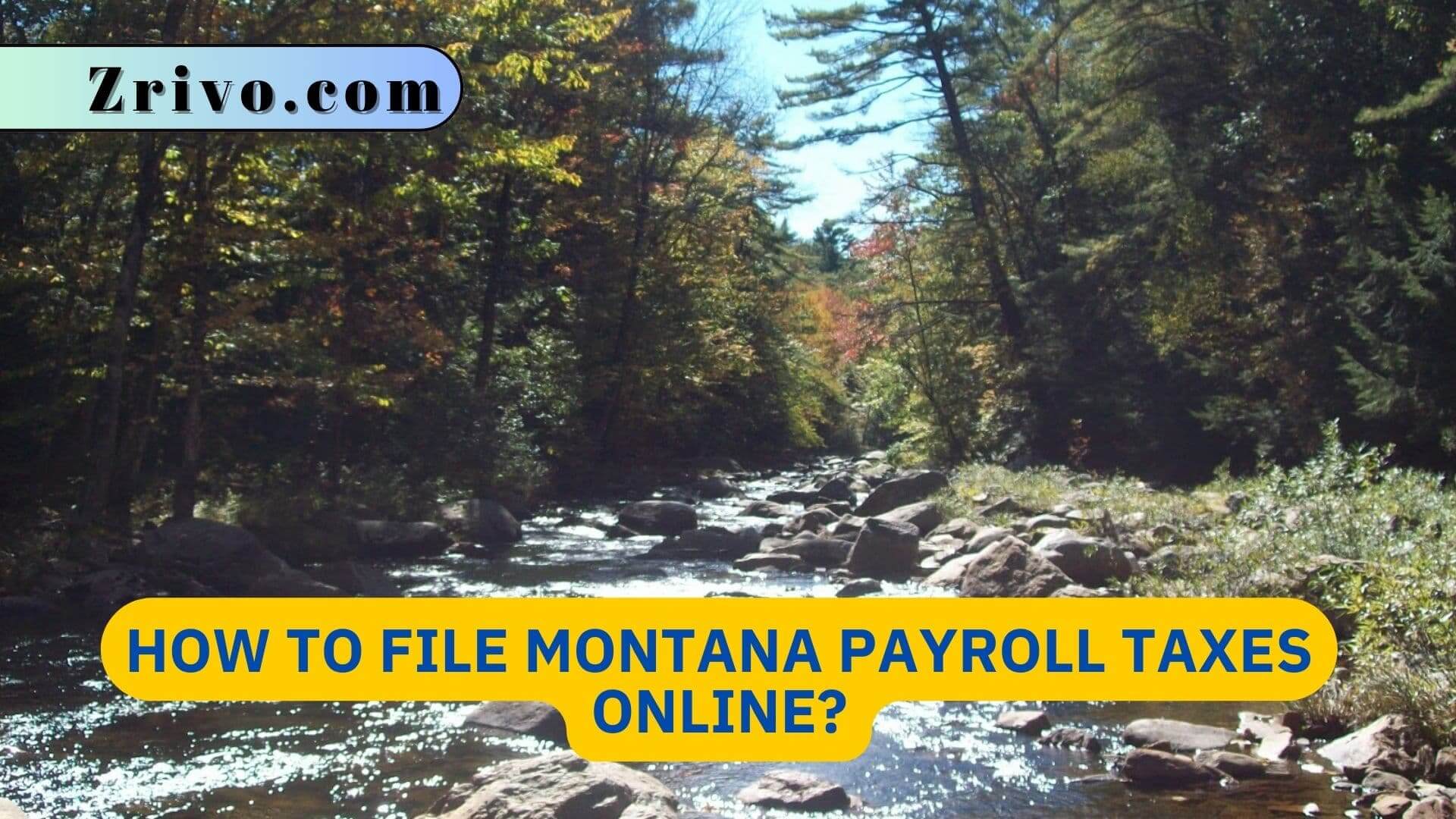 How to File Montana Payroll Taxes Online? How to File Montana Payroll Taxes Online