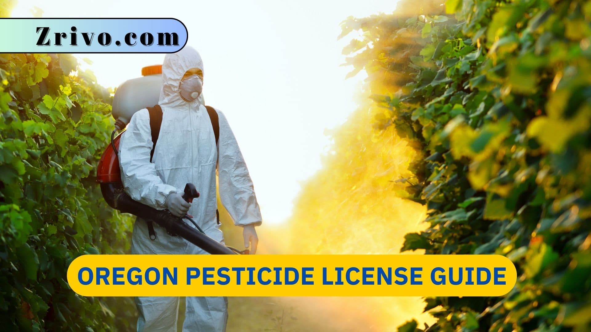 Oregon Pesticide License Guide Oregon Pesticide License Guide