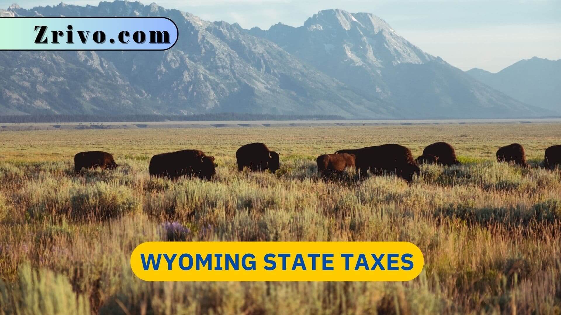 Wyoming State Taxes Wyoming State Taxes