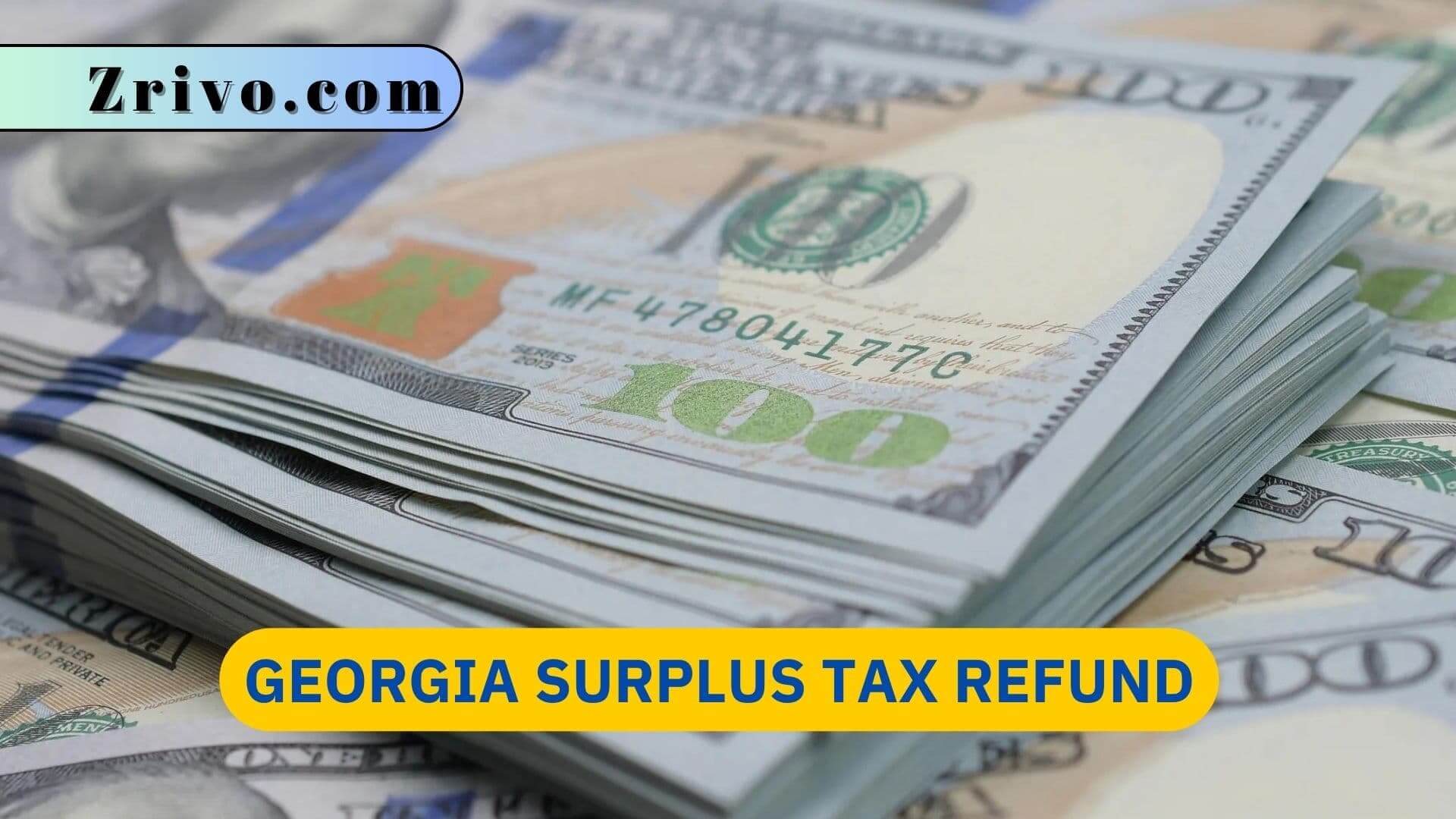 Georgia Surplus Tax Refund Georgia Surplus Tax Refund