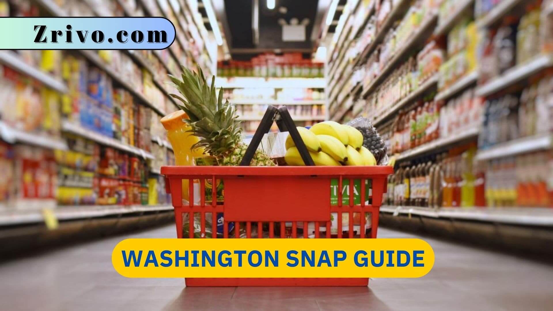 Washington SNAP Guide Washington SNAP Guide