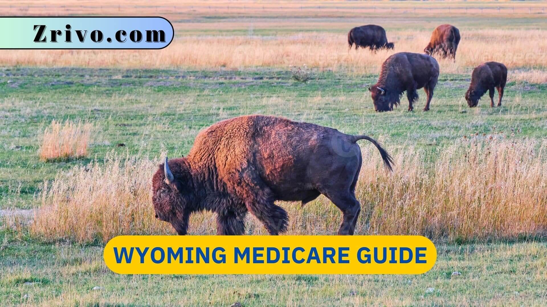 Wyoming Medicare Guide Wyoming Medicare Guide