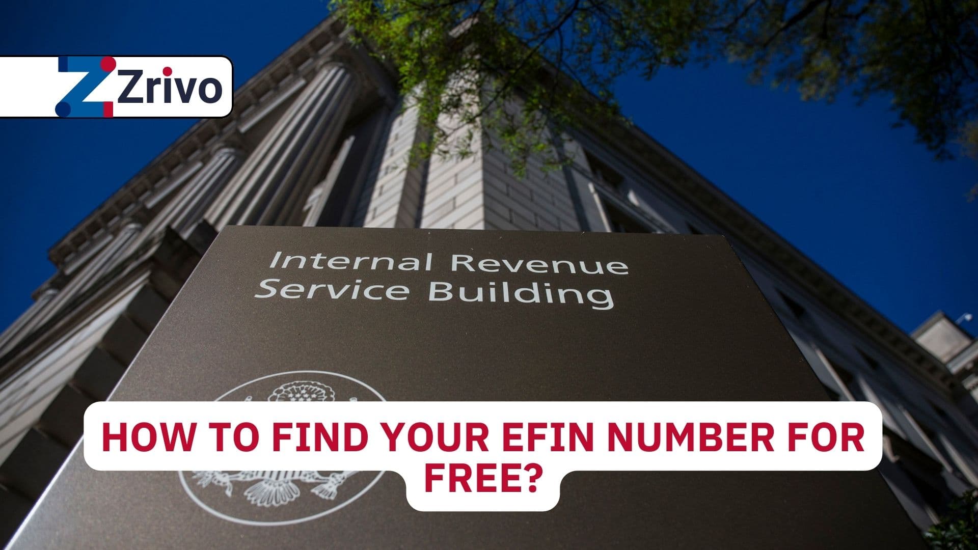 How to Find Your EFIN Number for Free? How to Find Your EFIN Number for Free