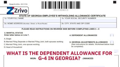 What Is the Dependent Allowance for G-4 in Georgia